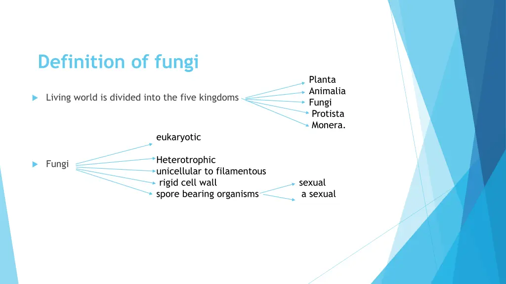 definition of fungi