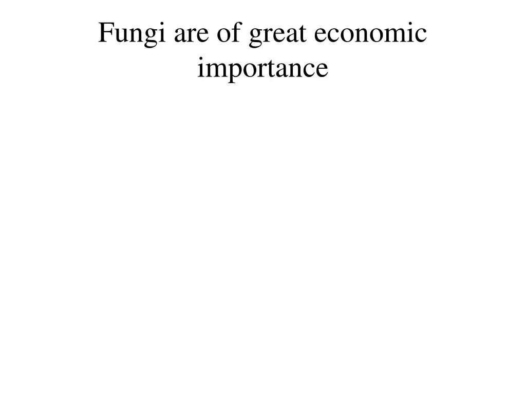 fungi are of great economic importance