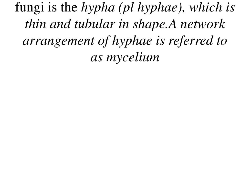 fungi is the hypha pl hyphae which is thin