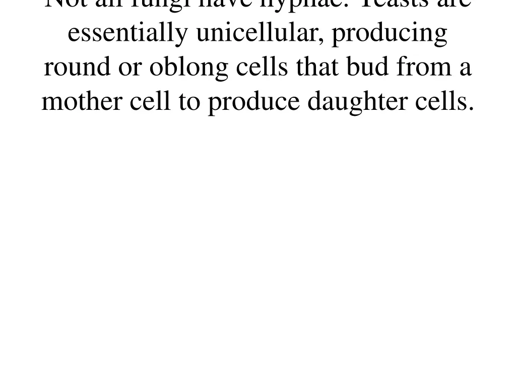 not all fungi have hyphae yeasts are essentially