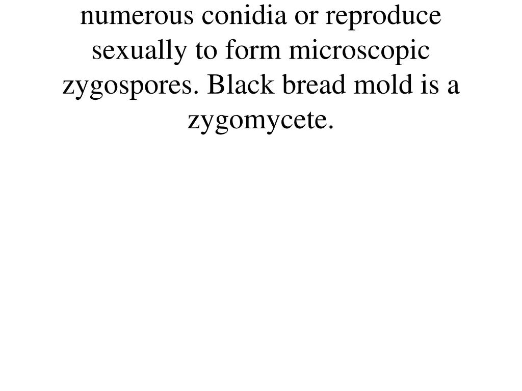 numerous conidia or reproduce sexually to form
