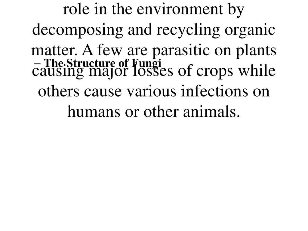 role in the environment by decomposing