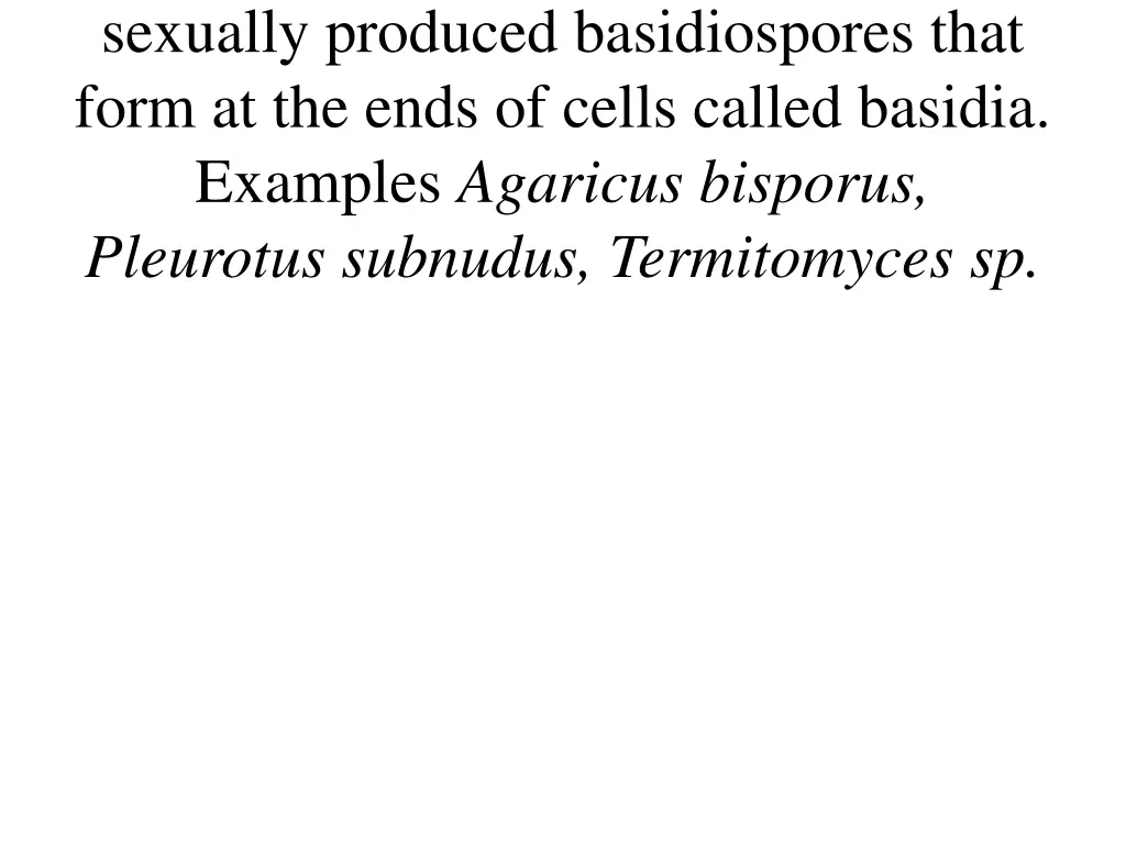 sexually produced basidiospores that form