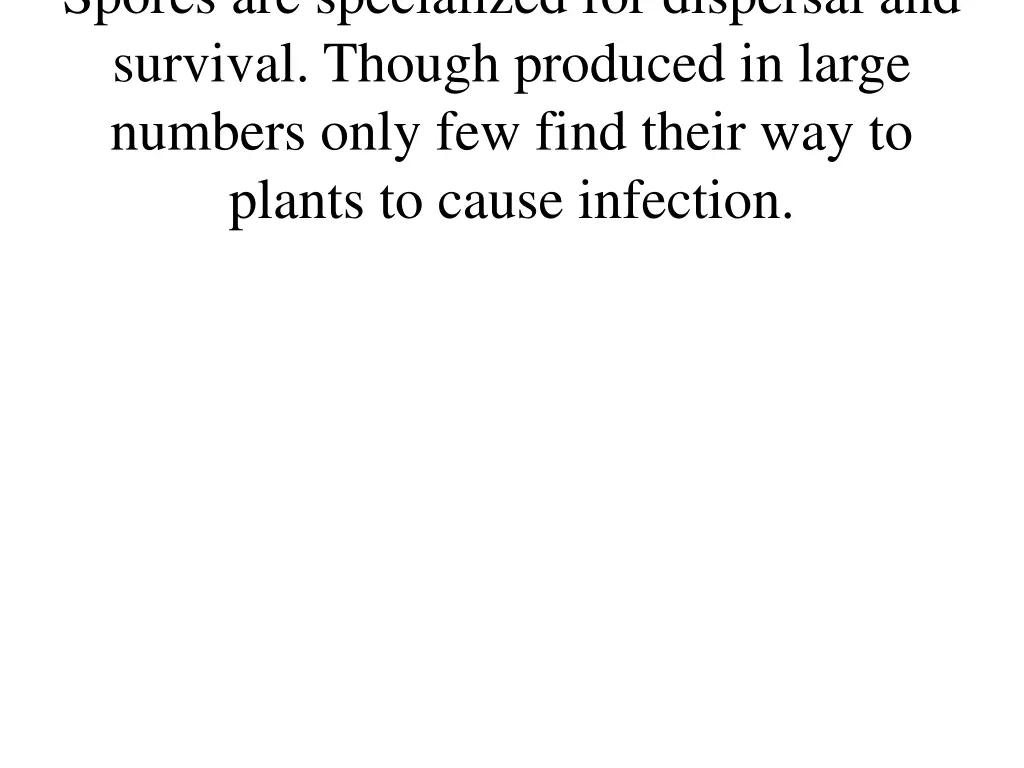 spores are specialized for dispersal and survival