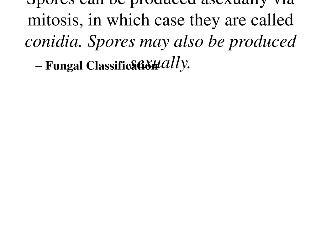 spores can be produced asexually via mitosis