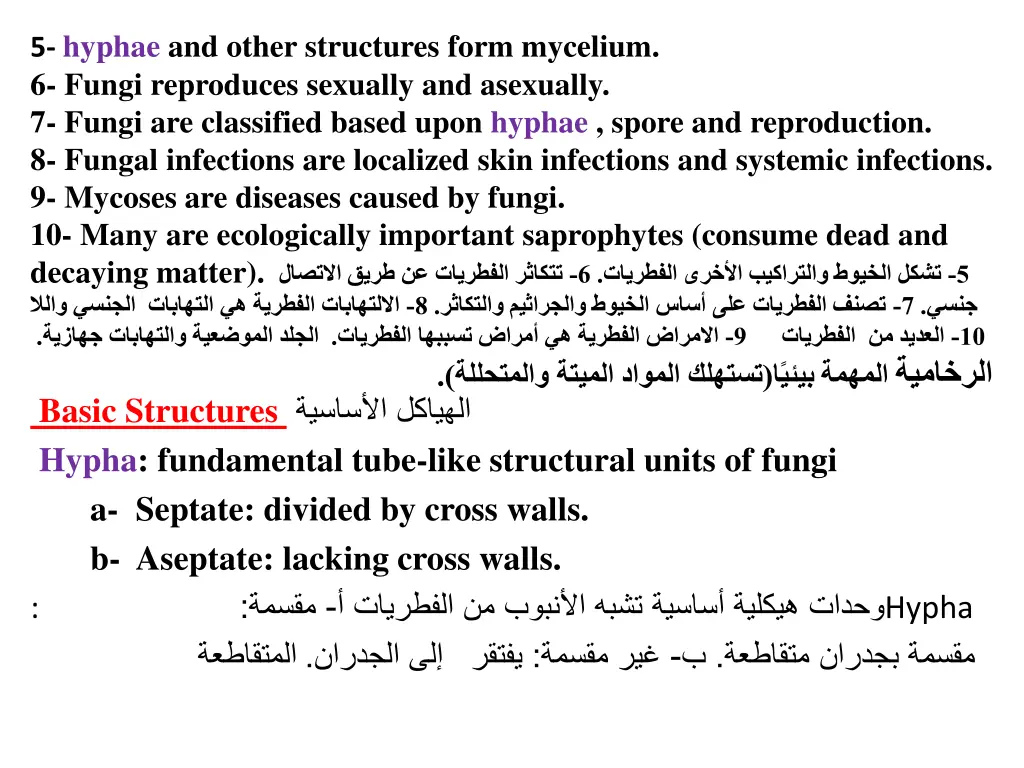 5 hyphae and other structures form mycelium
