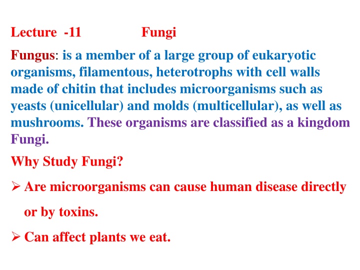 lecture 11 fungi fungus is a member of a large