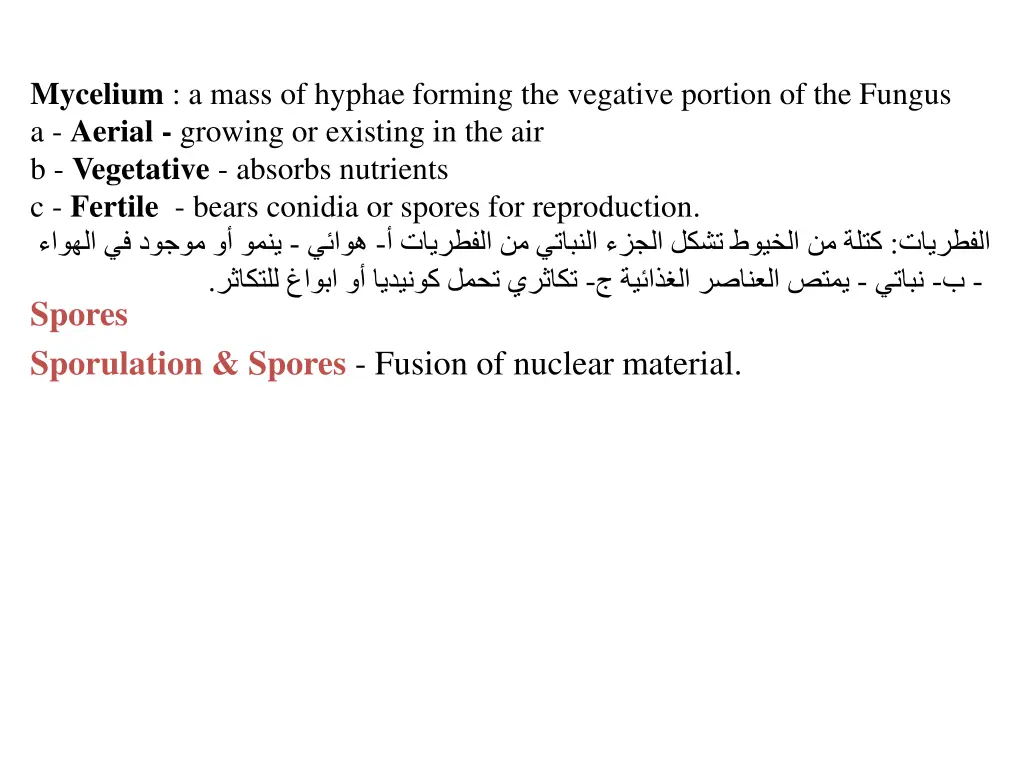 mycelium a mass of hyphae forming the vegative