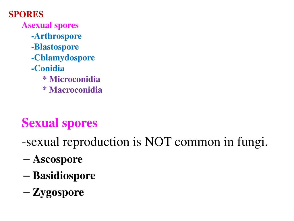 spores asexual spores arthrospore blastospore