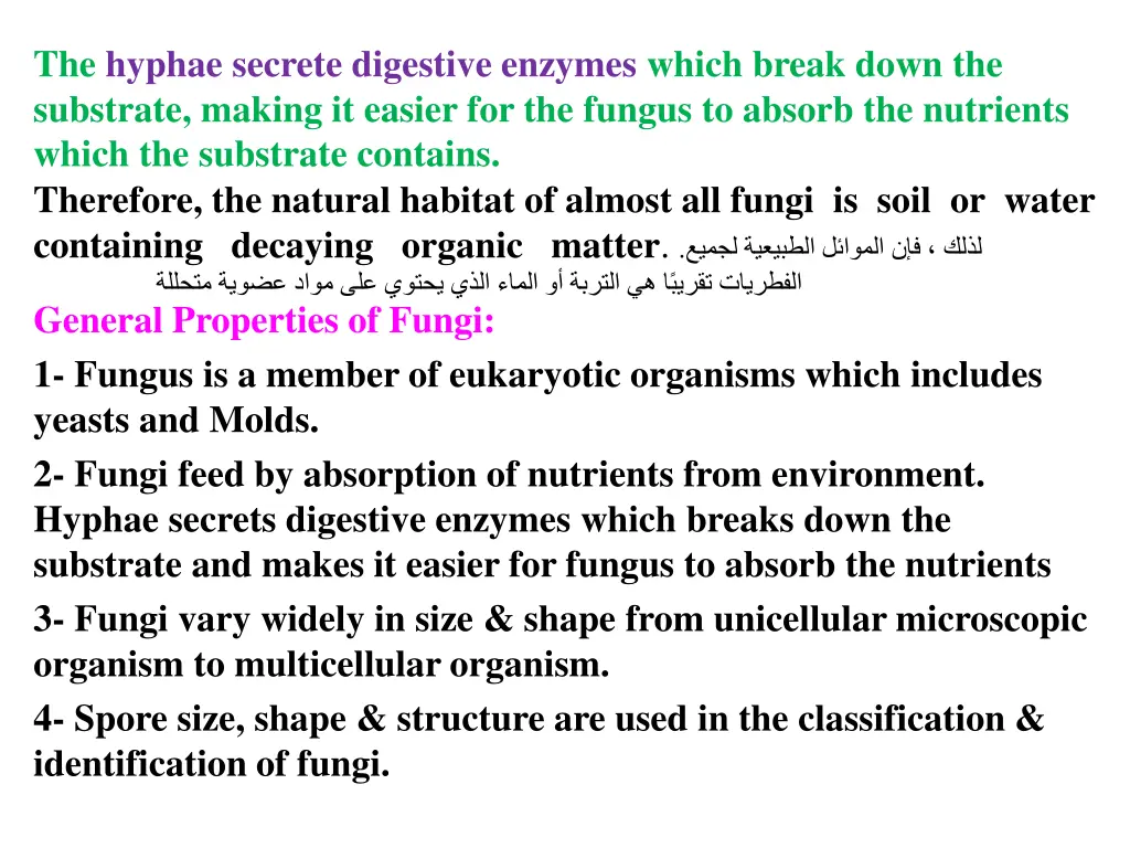 the hyphae secrete digestive enzymes which break