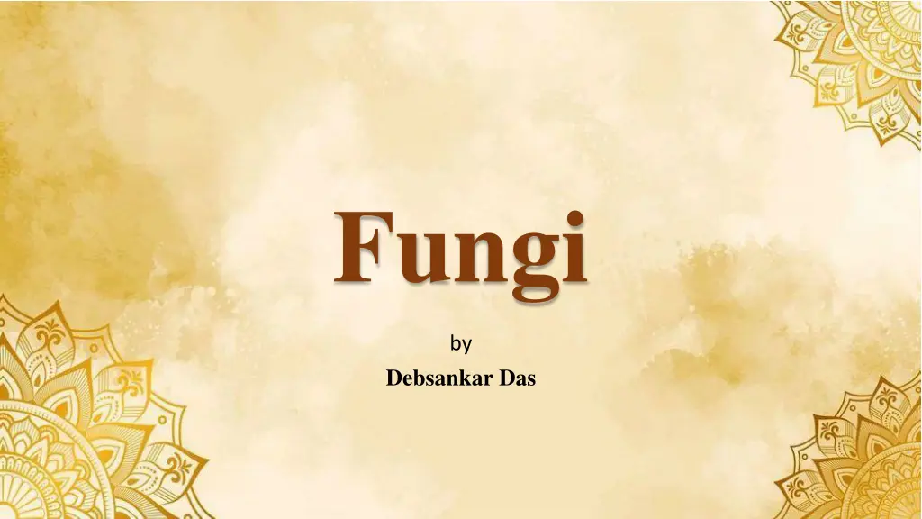 fungi