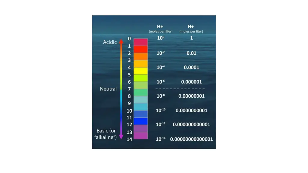 slide5