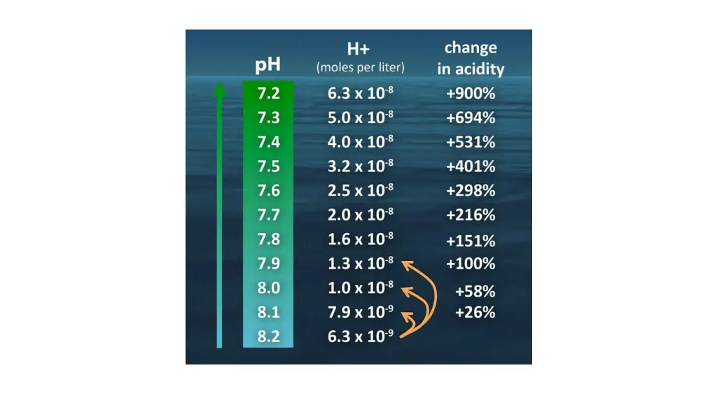 slide6