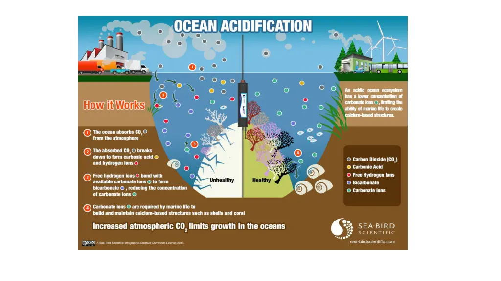 slide7