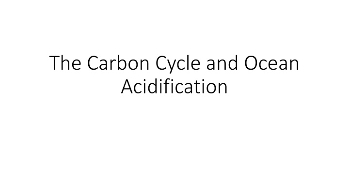 the carbon cycle and ocean acidification