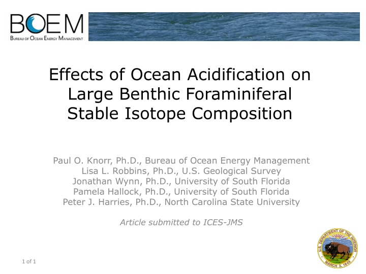 effects of ocean acidification on large benthic