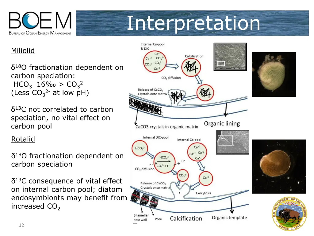 interpretation