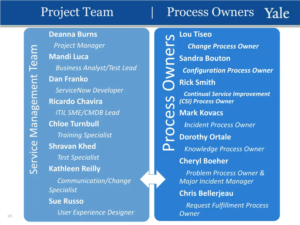 project team process owners