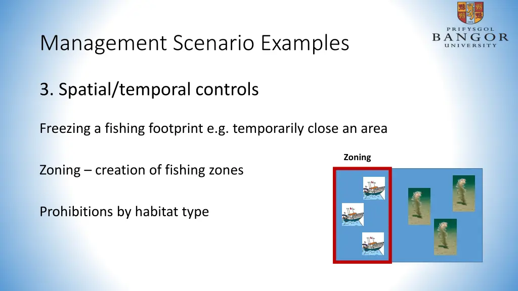management scenario examples 2