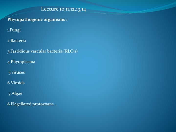 lecture 10 11 12 13 14