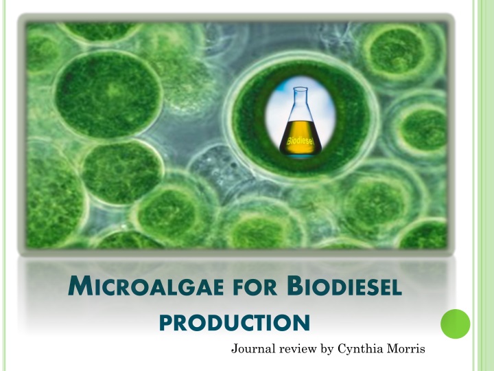 m icroalgae for b iodiesel production journal