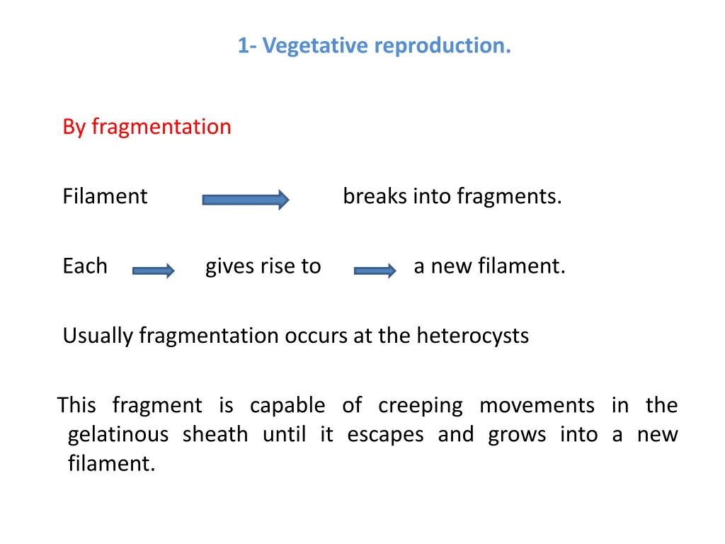 1 vegetative reproduction