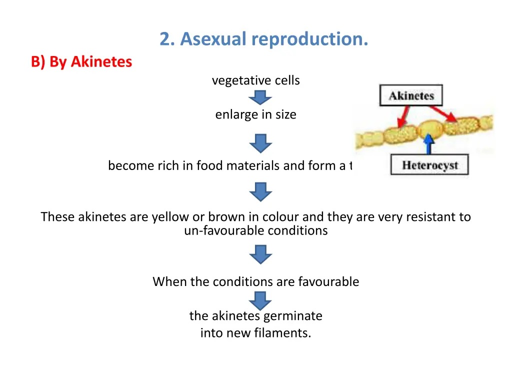 2 asexual reproduction 1