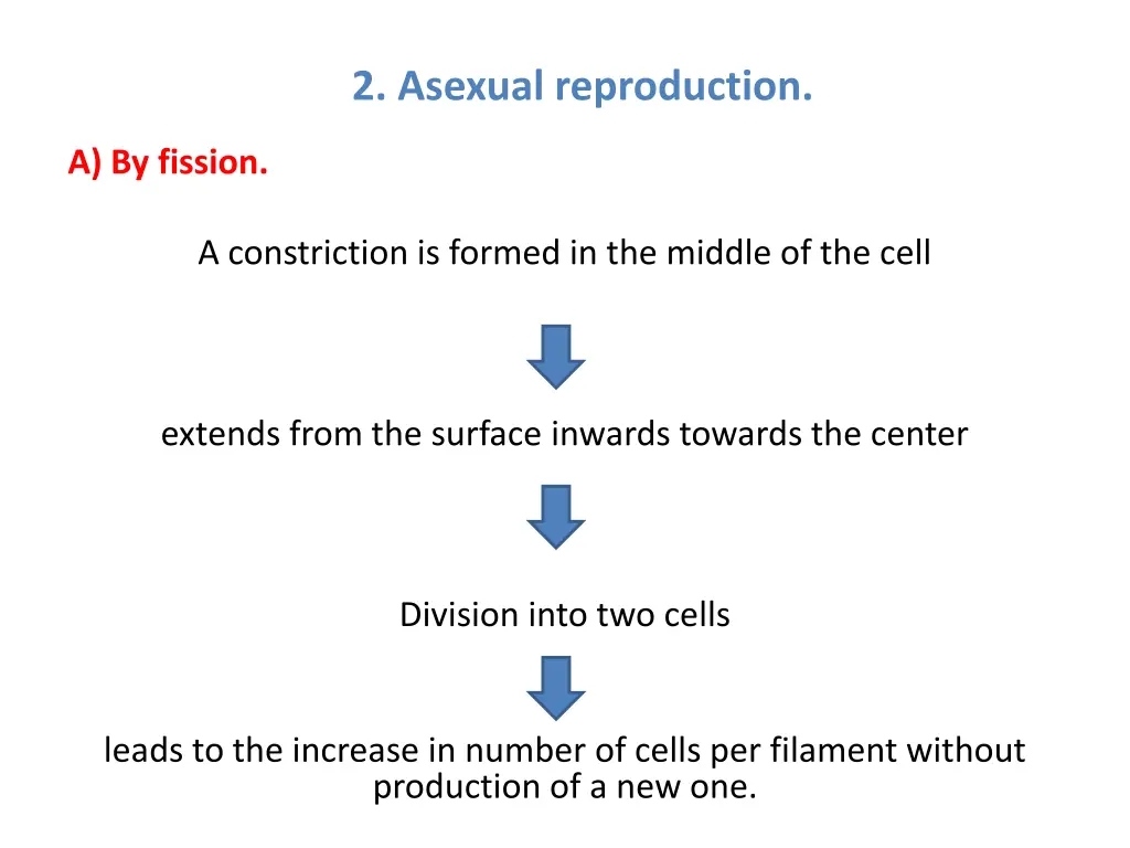 2 asexual reproduction