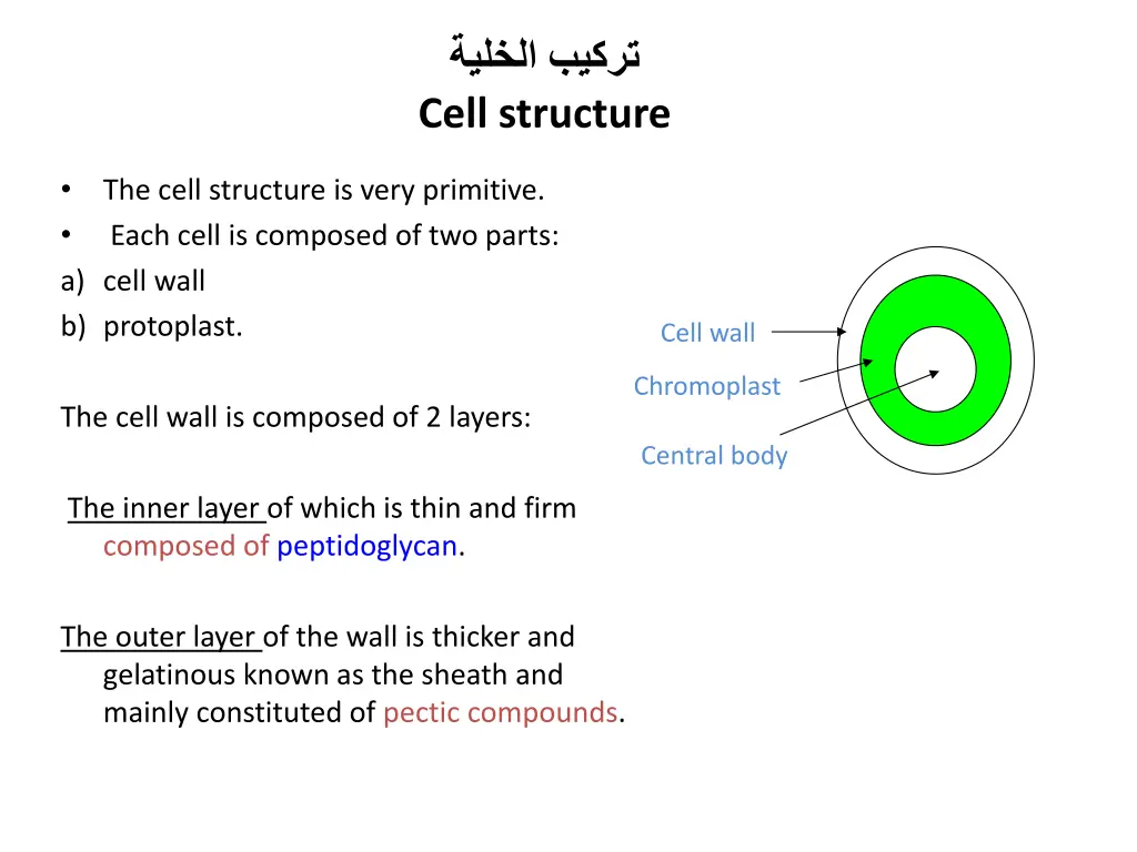 cell structure