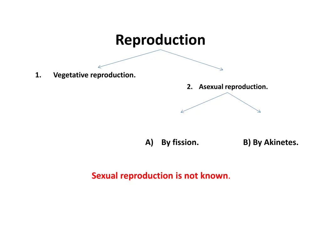 reproduction