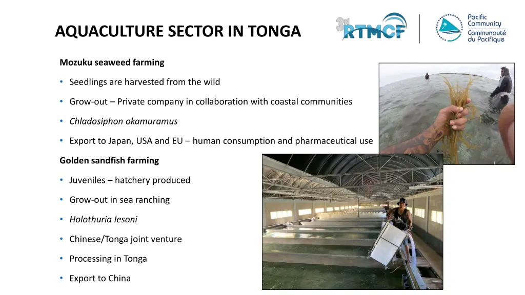aquaculture sector in tonga 1