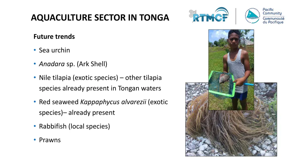 aquaculture sector in tonga 2