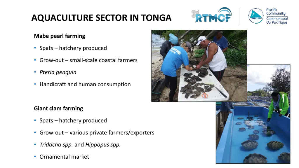 aquaculture sector in tonga