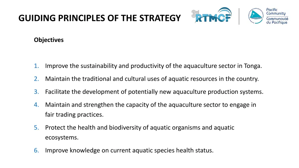 guiding principles of the strategy 1