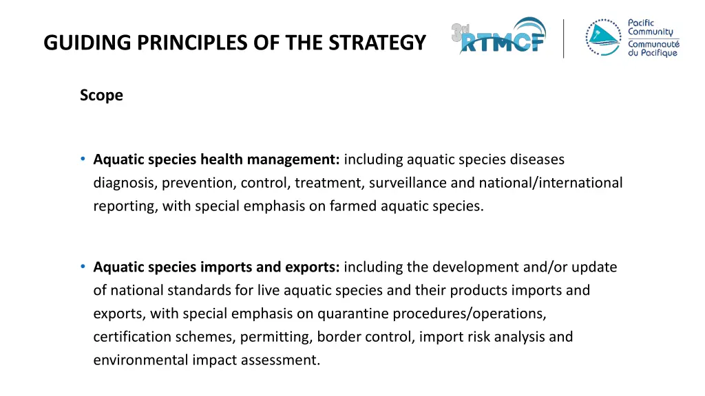 guiding principles of the strategy 2
