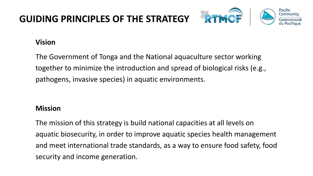 guiding principles of the strategy