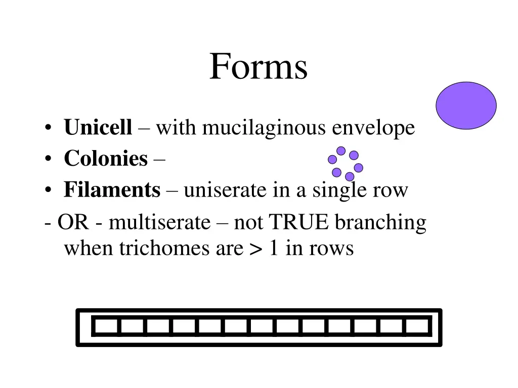 forms