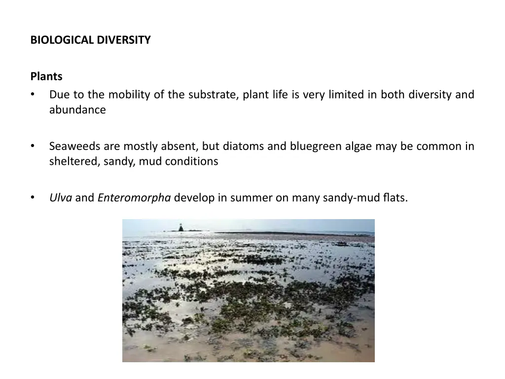 biological diversity