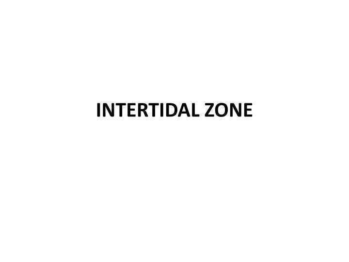 intertidal zone