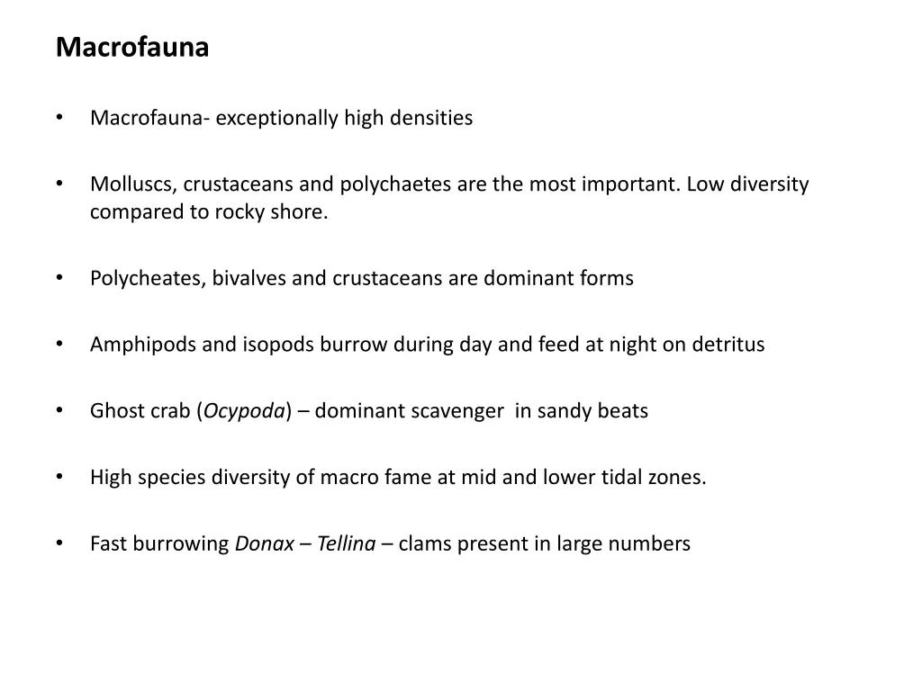 macrofauna