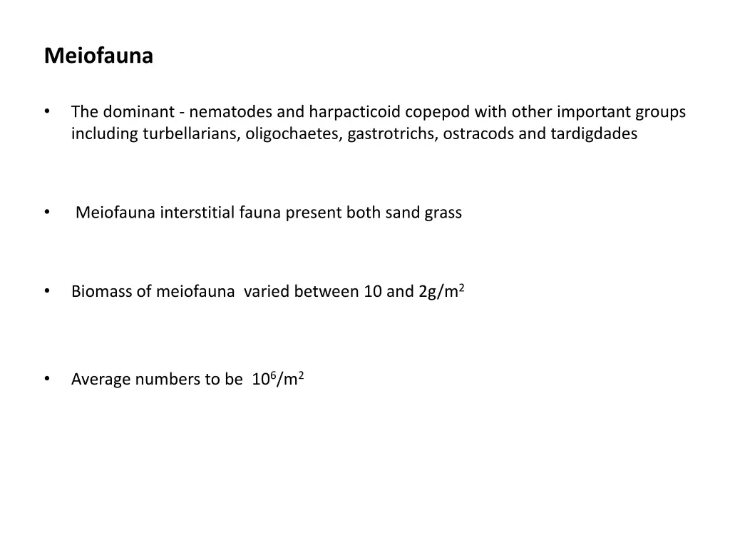 meiofauna