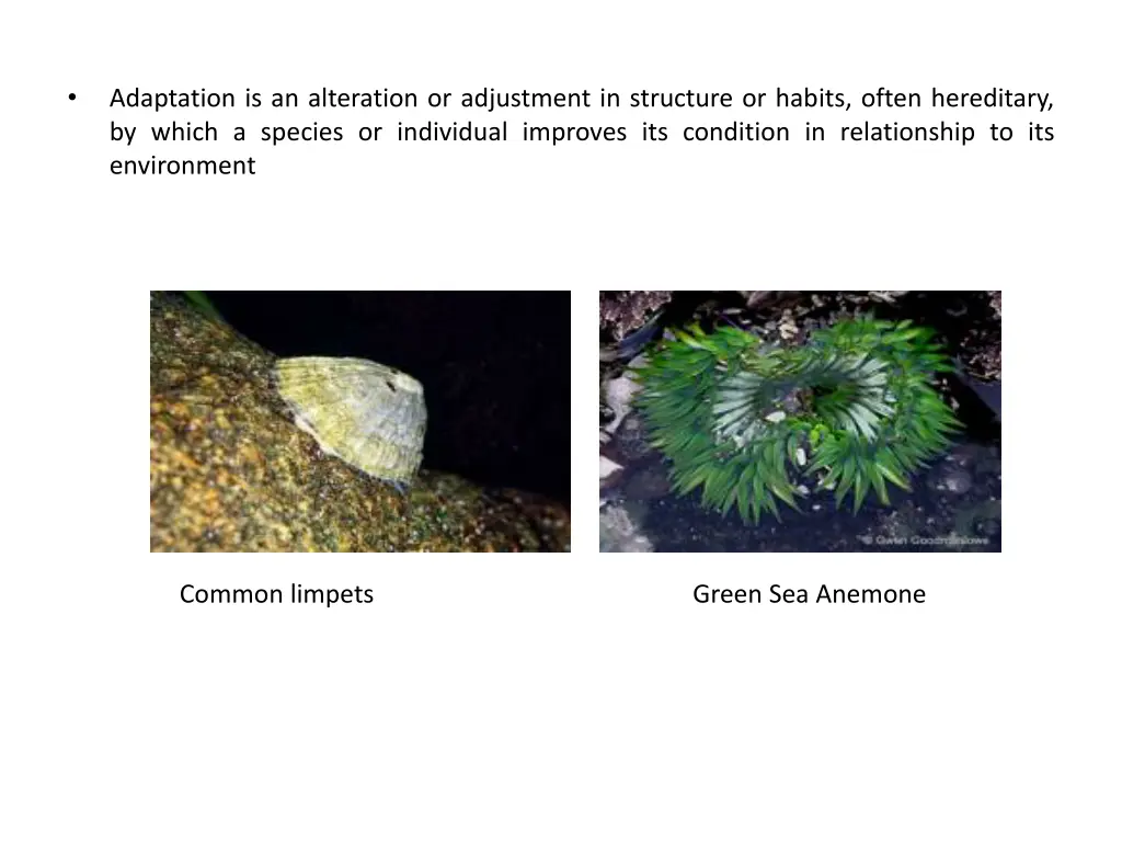 slide11