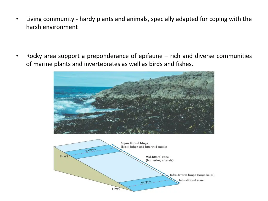 slide6