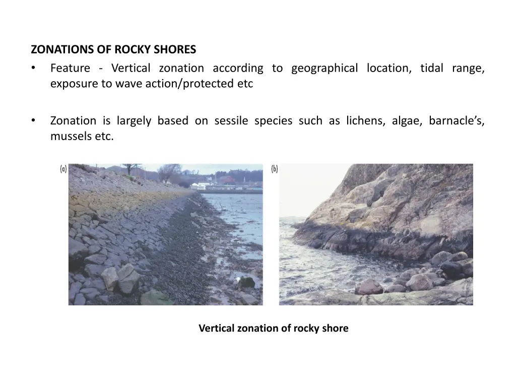 zonations of rocky shores feature vertical