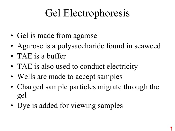 gel electrophoresis