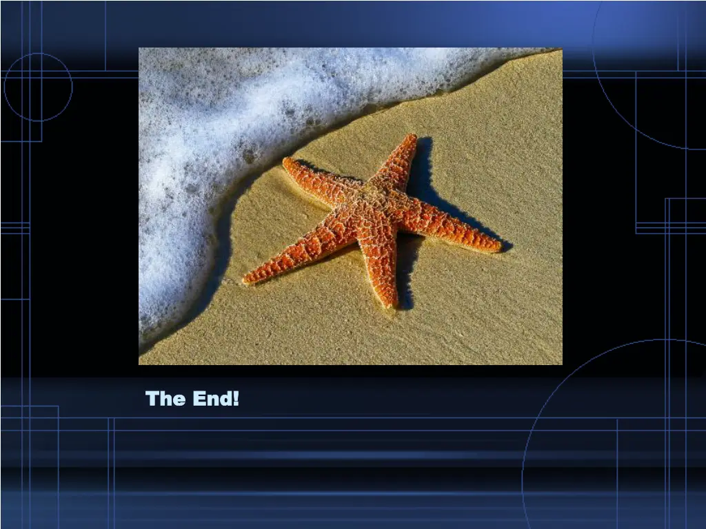 the end the end