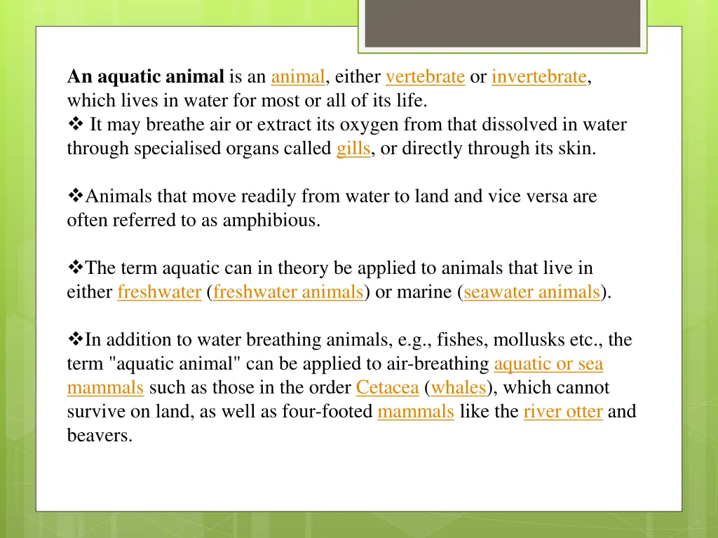 an aquatic animal is an animal either vertebrate