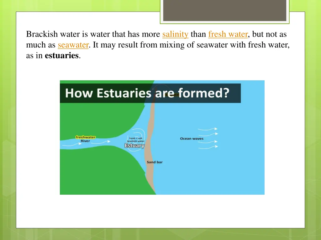 brackish water is water that has more salinity