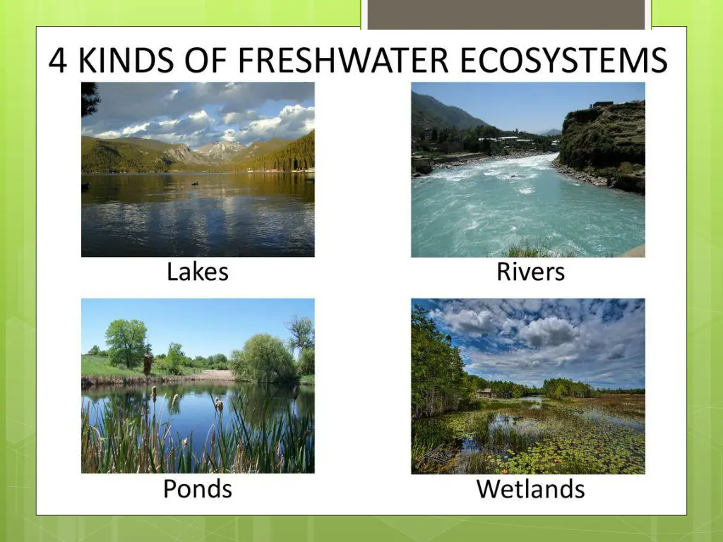 slide10