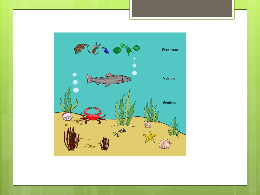 slide14
